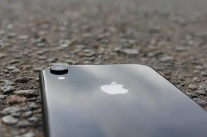 Kasino Jungle Raja Mobiilisovellus